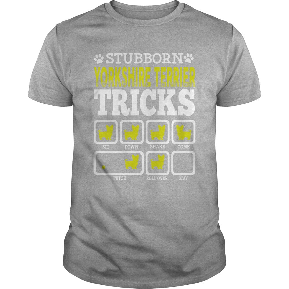 STUBBORN YORKSHIRE TERRIER TRICK