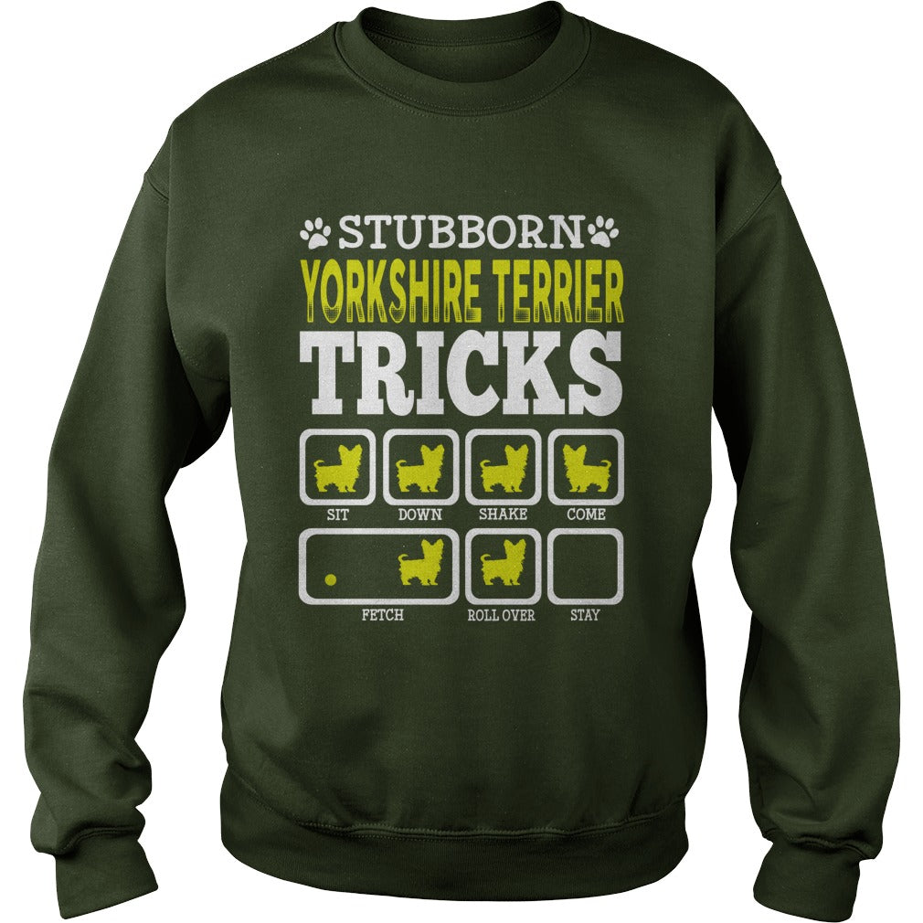 STUBBORN YORKSHIRE TERRIER TRICK