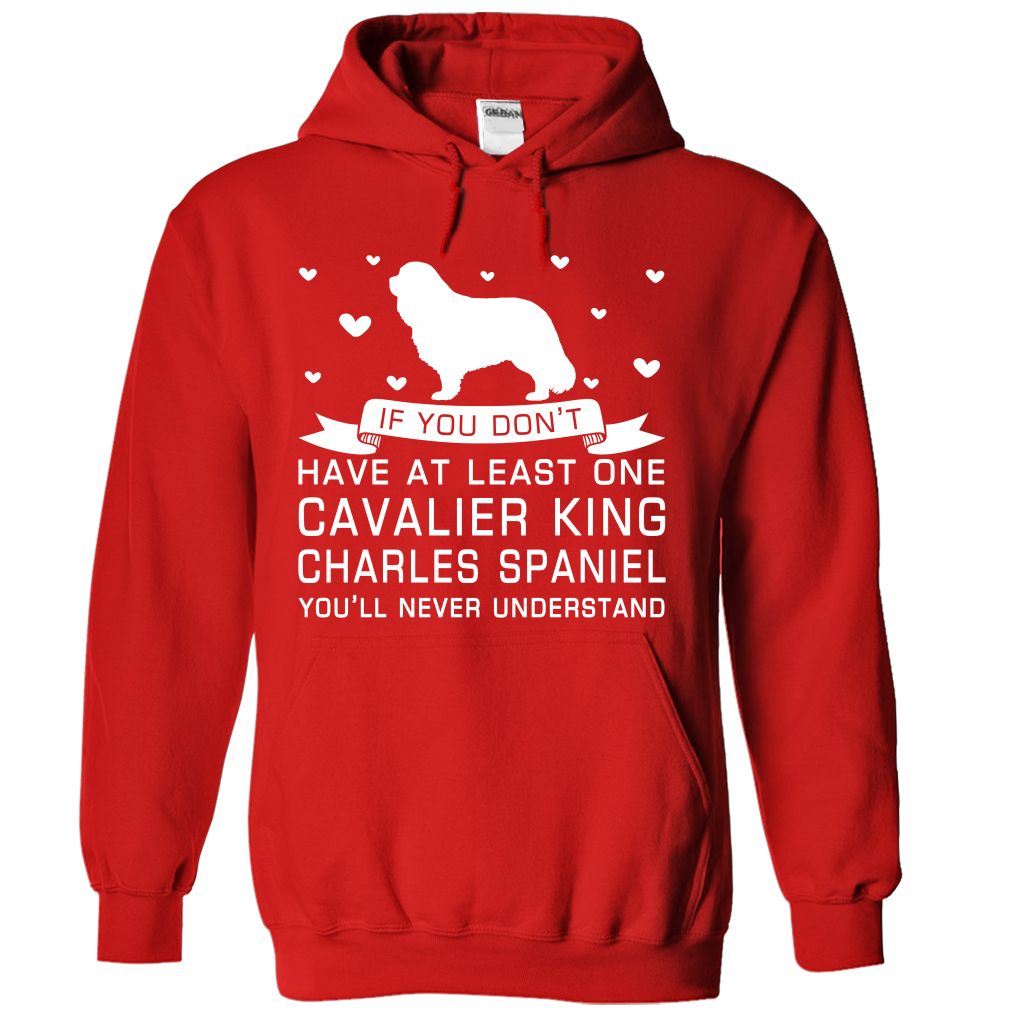 Cavalier king charles spaniel