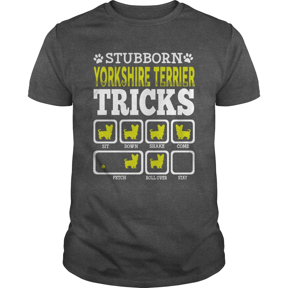 STUBBORN YORKSHIRE TERRIER TRICK