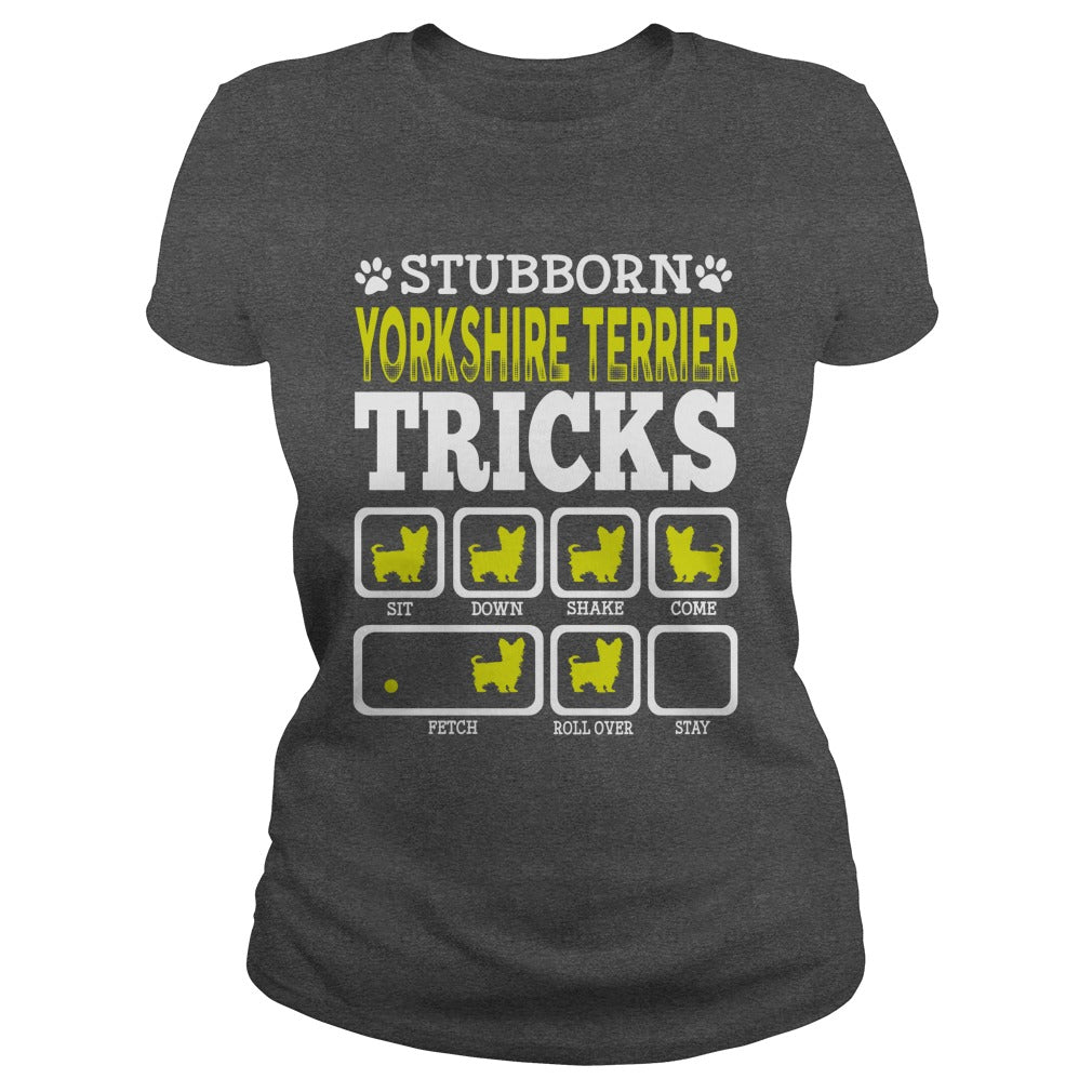 STUBBORN YORKSHIRE TERRIER TRICK