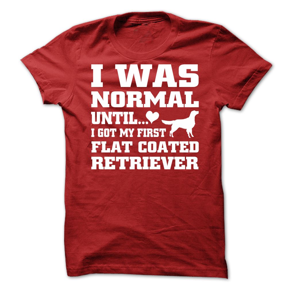 Flat Coated Retriever