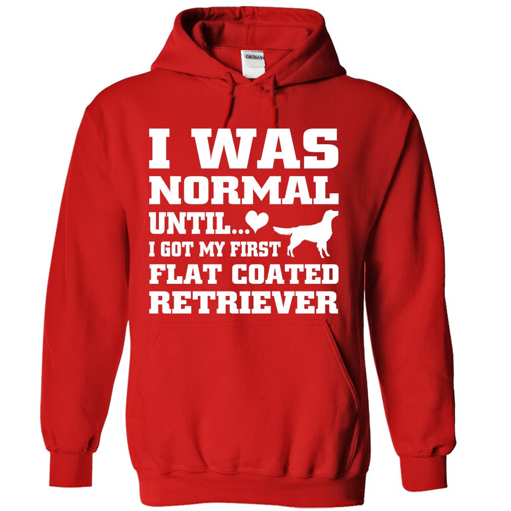 Flat Coated Retriever