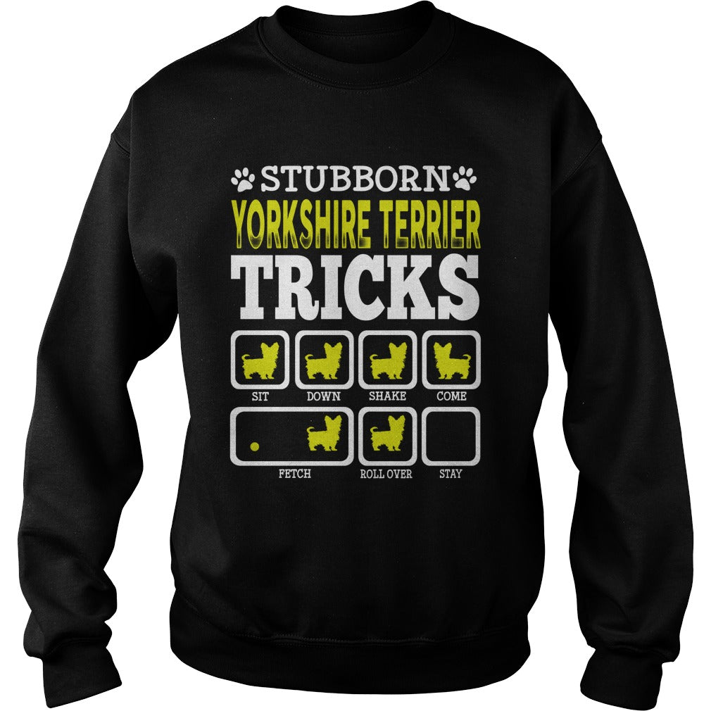 STUBBORN YORKSHIRE TERRIER TRICK