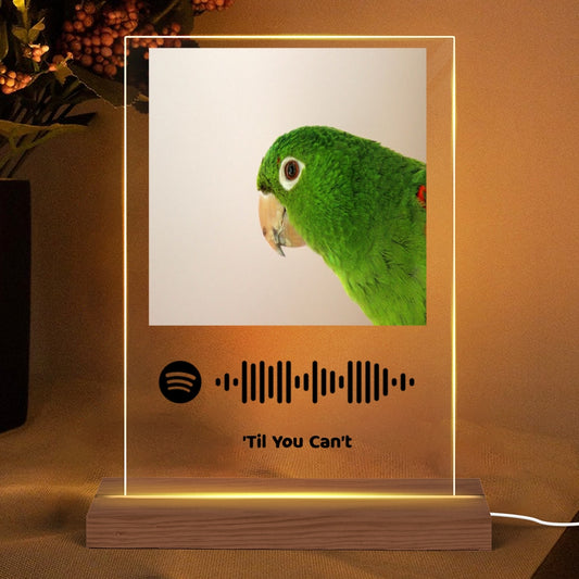 Plaque LED Night Light